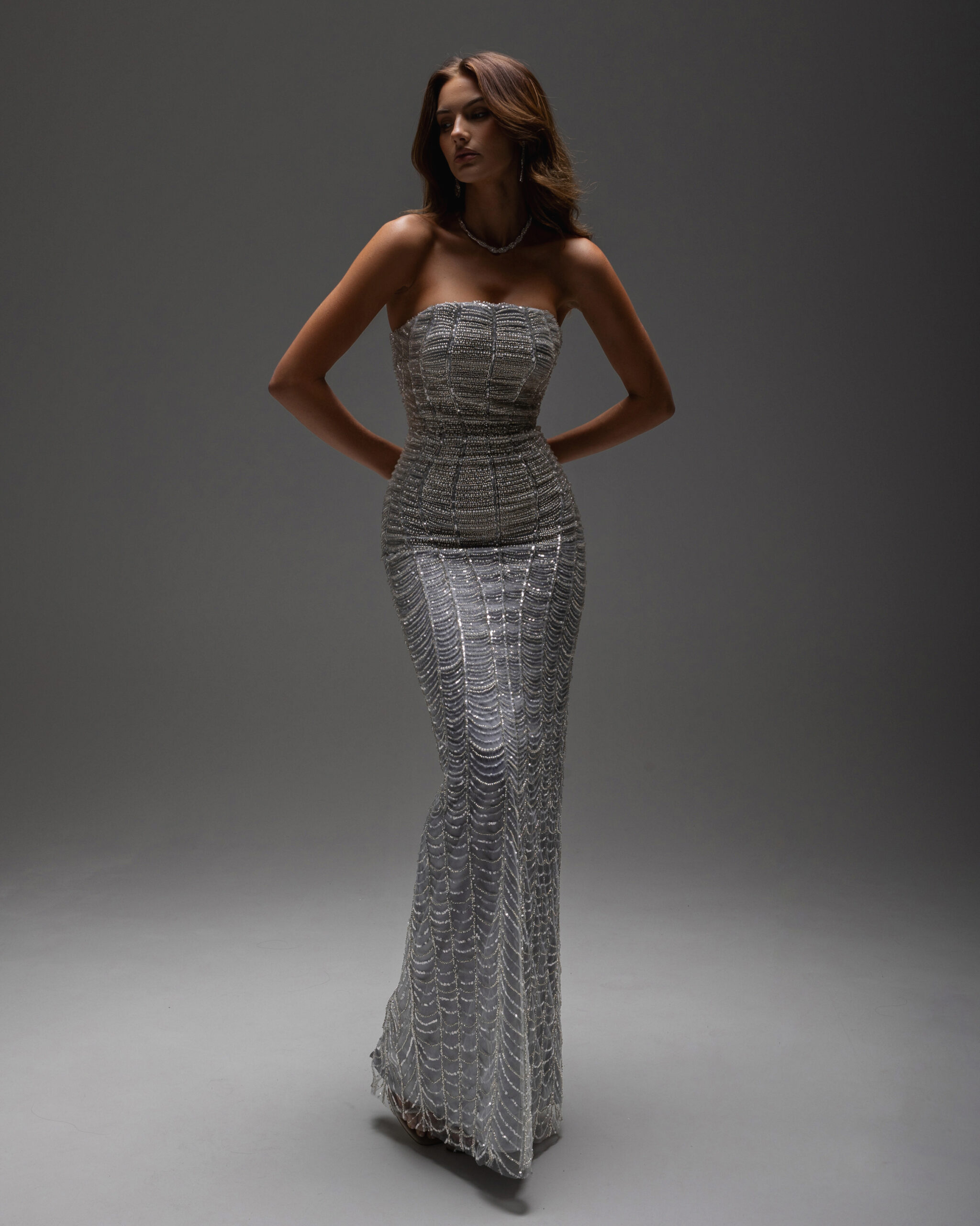 editorial front picture of dalila dress without metalic corset . fully embellished straight cut and strapless