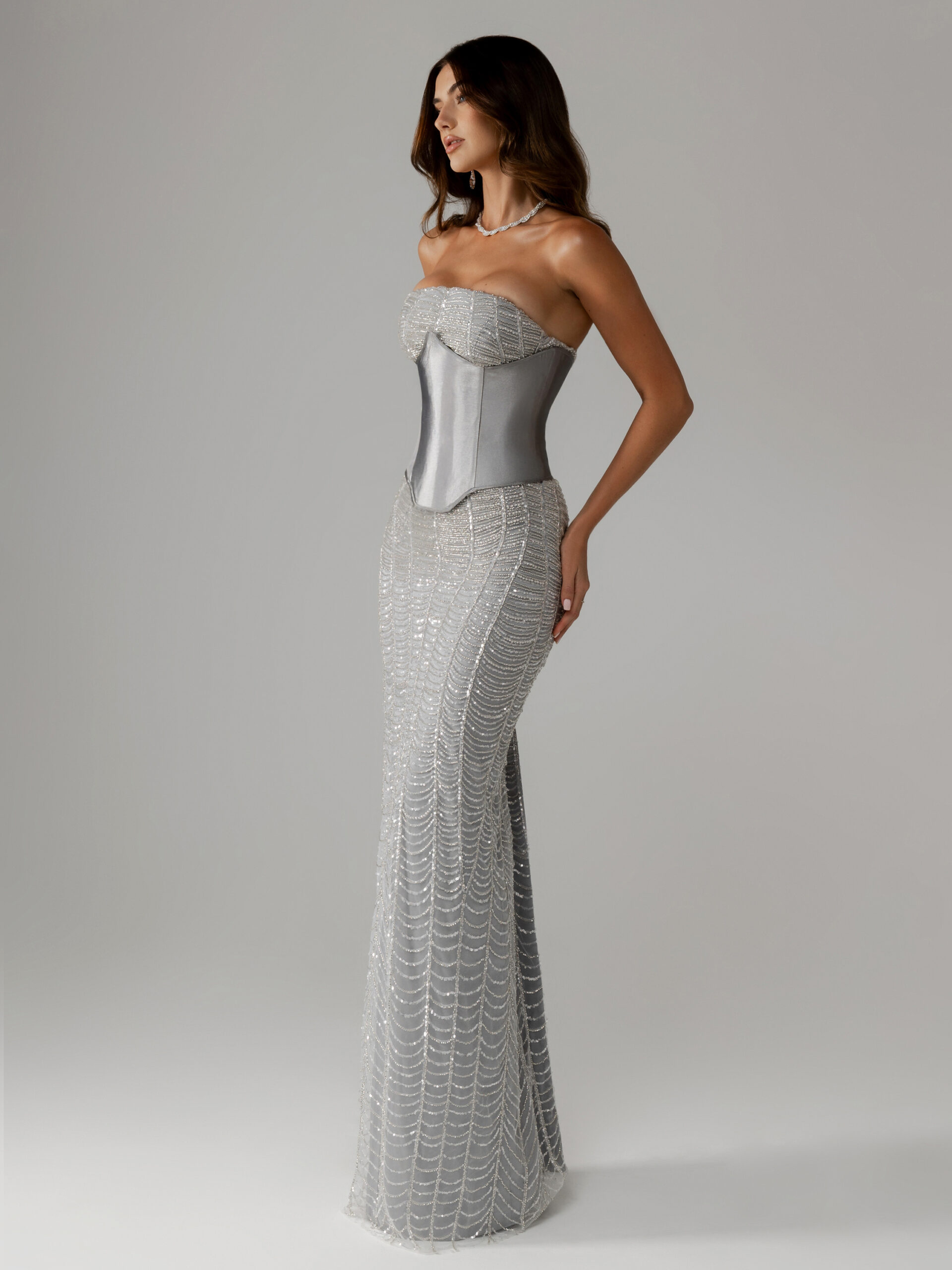 e-commerce side picture of dalila dress with metalic corset . fully embellished straight cut and strapless